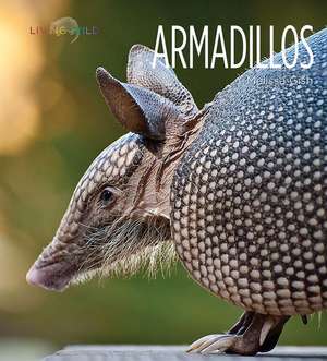 Armadillos de Melissa Gish