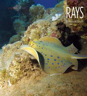 Rays de Melissa Gish