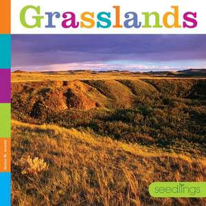 Grasslands de Quinn M. Arnold