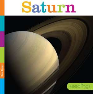 Saturn de Kate Riggs