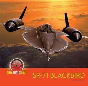 Sr-71 Blackbird (Plane) de Kate Riggs