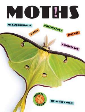 Moths de Ashley Gish