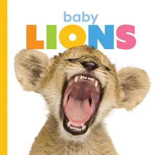 Baby Lions de Kate Riggs