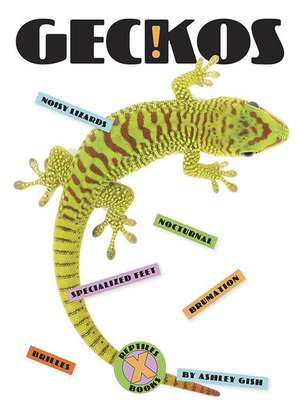 Geckos de Ashley Gish