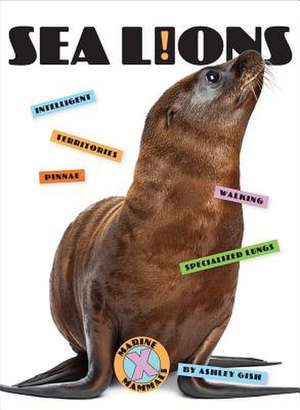 Sea Lions de Ashley Gish