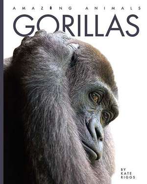 Gorillas de Kate Riggs