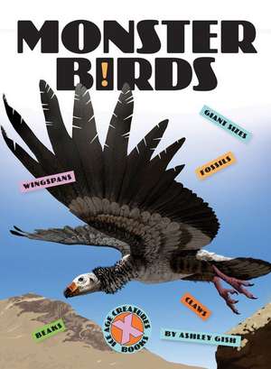 Monster Birds de Ashley Gish