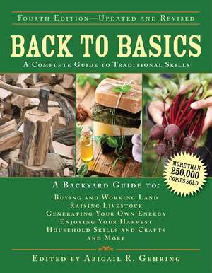 Back to Basics: A Complete Guide to Traditional Skills de Abigail Gehring