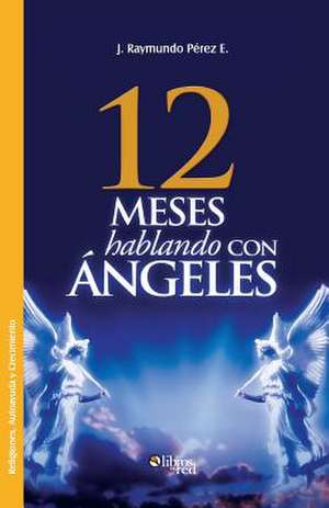 Doce Meses Hablando Con Angeles de J. Raymundo Perez E.