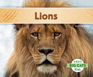 Lions de Claire Archer