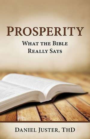 Prosperity - What the Bible Really Says de Daniel C. Juster