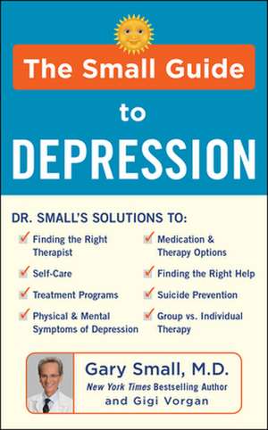 Small Guide to Depression de Gigi Vorgan