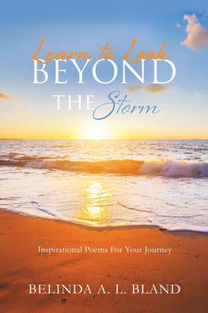 Learn to Look Beyond The Storm de Belinda A. L. Bland