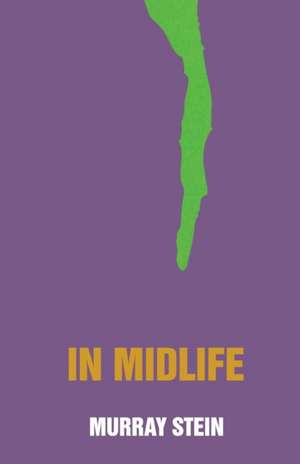 In Midlife de Murray Stein