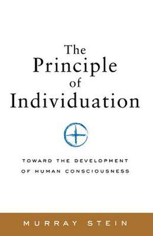 The Principle of Individuation de Murray Stein