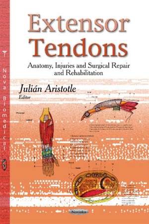 Extensor Tendons de Julian Aristotle