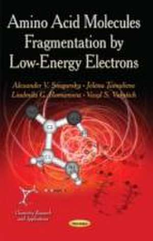 Amino Acid Molecules Fragmentation by Low-Energy Electrons de Alexander V. Snegursky