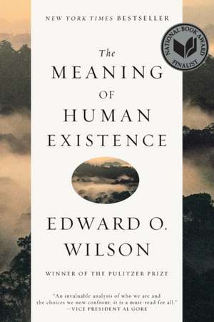 The Meaning of Human Existence