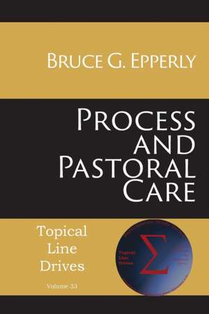 Process and Pastoral Care de Bruce G. Epperly