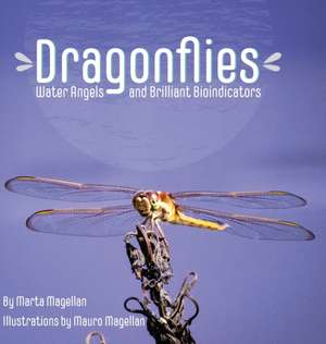 Dragonflies de Marta Magellan