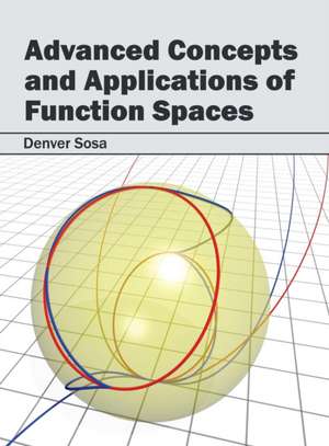 Advanced Concepts and Applications of Function Spaces de Denver Sosa