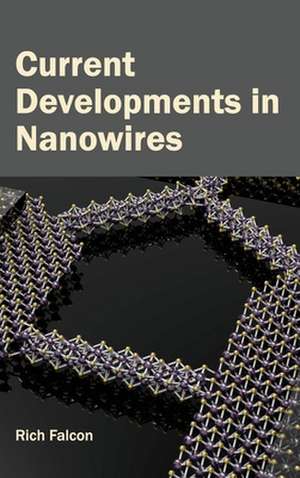 Current Developments in Nanowires de Rich Falcon