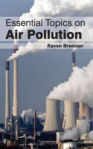 Essential Topics on Air Pollution de Raven Brennan