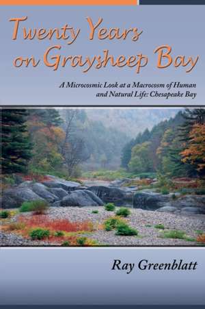 Twenty Years on Graysheep Bay de Ray Greenblatt