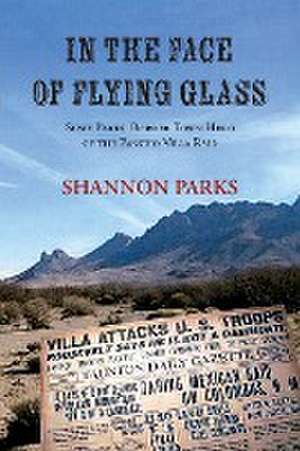 In the Face of Flying Glass de Shannon Parks