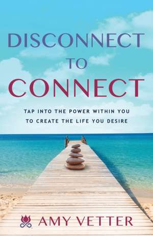 Disconnect to Connect de Amy Vetter