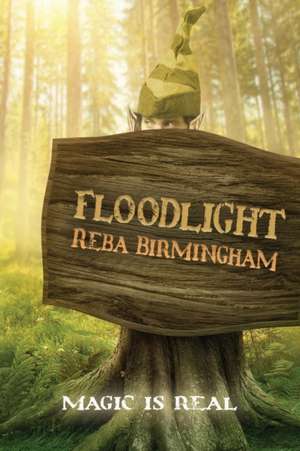 Floodlight de Reba Birmingham