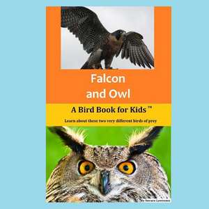 Falcon and Owl de Novare Lawrence