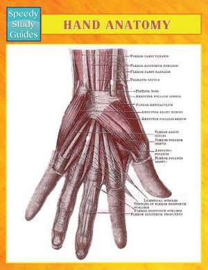 Hand Anatomy (Speedy Study Guides) de Speedy Publishing Llc