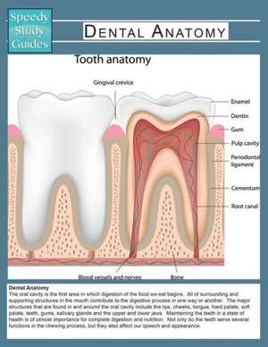 Dental Anatomy (Speedy Study Guide) de Speedy Publishing Llc