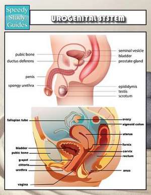 Urogenital System (Speedy Study Guides) de Speedy Publishing Llc