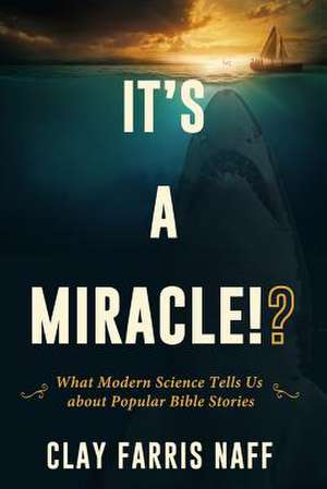 It's a Miracle!? de Clay Farris Naff