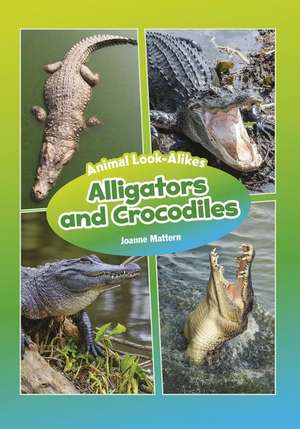 Alligators and Crocodiles de Joanne Mattern