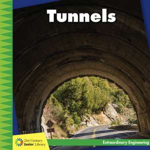 Tunnels de Virginia Loh-Hagan