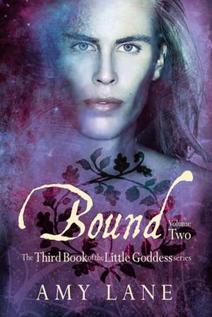 Bound, Vol. 2 de Amy Lane