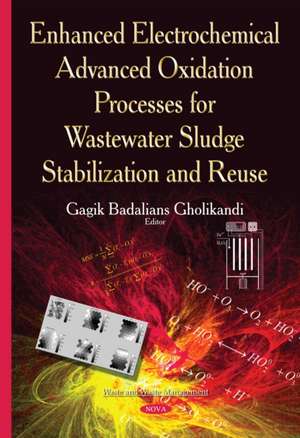 Enhanced Electrochemical Advanced Oxidation Processes for Wastewater Sludge Stabilization and Reuse de Gagik Badalians Gholikandi