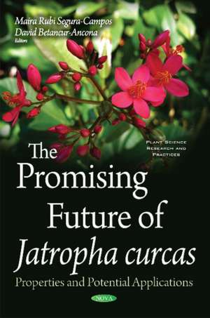 Promising Future of Jatropha Curcas: Properties & Potential Applications de Maira Rubi Segura-Campos