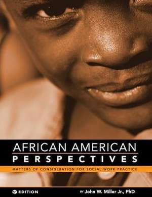 African American Perspectives de John W Miller