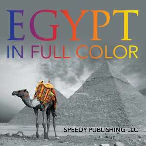 Egypt in Full Color: The Road to Recovering Emotionally and Financially from Divorce de Speedy Publishing LLC