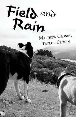 Field and Rain de Matthew Cronin