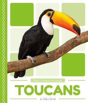 Toucans de Golriz Golkar