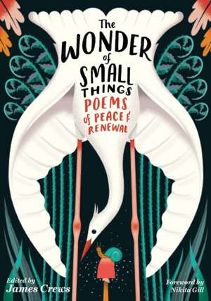 The Wonder of Small Things de James Crews