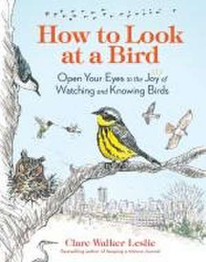 How to Look at a Bird de Clare Walker Leslie