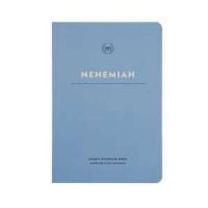 Lsb Scripture Study Notebook: Nehemiah de Steadfast Bibles