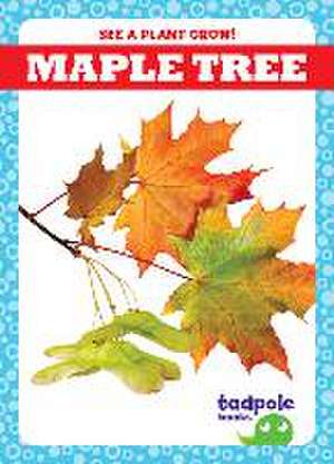 Maple Tree de Charlie W Sterling