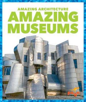 Amazing Museums de Anita Nahta Amin